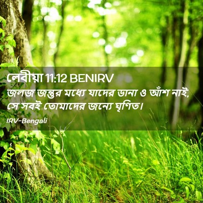 Picture 02 - লেবীয়া 11:12 BENIRV - জলজ জন্তুর মধ্যে - Bible Verse Picture