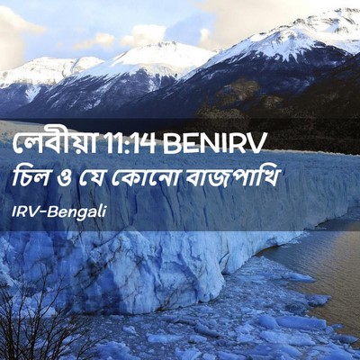 Picture 02 - লেবীয়া 11:14 BENIRV - চিল ও যে কোনো - Bible Verse Picture