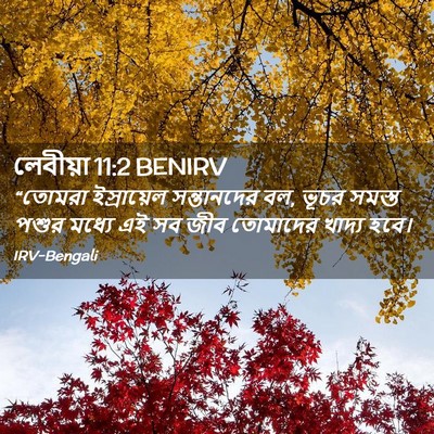 Picture 02 - লেবীয়া 11:2 BENIRV - “তোমরা ইস্রায়েল - Bible Verse Picture