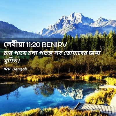 Picture 02 - লেবীয়া 11:20 BENIRV - চার পায়ে চলা - Bible Verse Picture