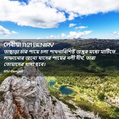 Picture 02 - লেবীয়া 11:21 BENIRV - তাছাড়া চার পায়ে - Bible Verse Picture