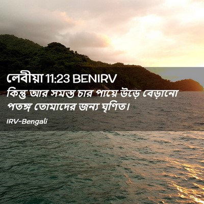 Picture 02 - লেবীয়া 11:23 BENIRV - কিন্তু আর সমস্ত - Bible Verse Picture