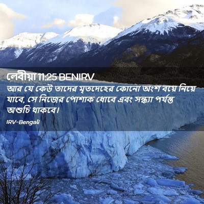 Picture 02 - লেবীয়া 11:25 BENIRV - আর যে কেউ তাদের - Bible Verse Picture