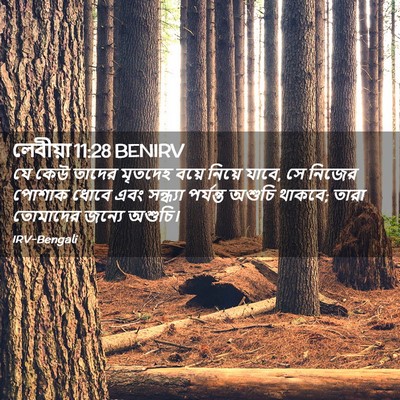 Picture 02 - লেবীয়া 11:28 BENIRV - যে কেউ তাদের - Bible Verse Picture