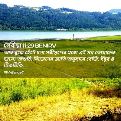 Picture 02 - লেবীয়া 11:29 BENIRV - আর বুকে হেঁটে চলা - Bible Verse Picture