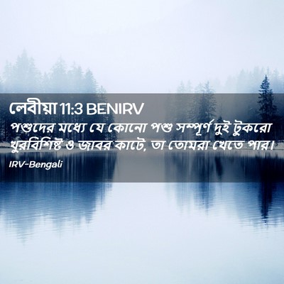 Picture 02 - লেবীয়া 11:3 BENIRV - পশুদের মধ্যে যে - Bible Verse Picture