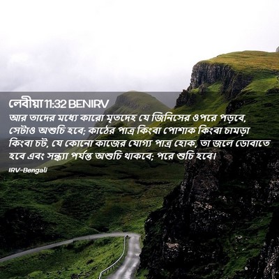 Picture 02 - লেবীয়া 11:32 BENIRV - আর তাদের মধ্যে - Bible Verse Picture