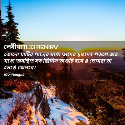 Picture 02 - লেবীয়া 11:33 BENIRV - কোনো মাটির - Bible Verse Picture