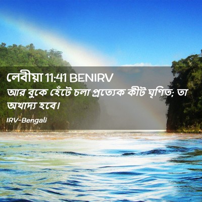 Picture 02 - লেবীয়া 11:41 BENIRV - আর বুকে হেঁটে চলা - Bible Verse Picture