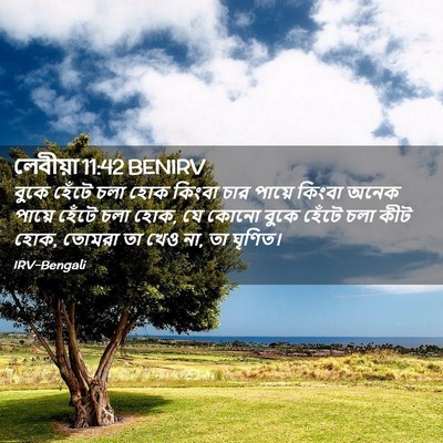 Picture 02 - লেবীয়া 11:42 BENIRV - বুকে হেঁটে চলা হোক - Bible Verse Picture
