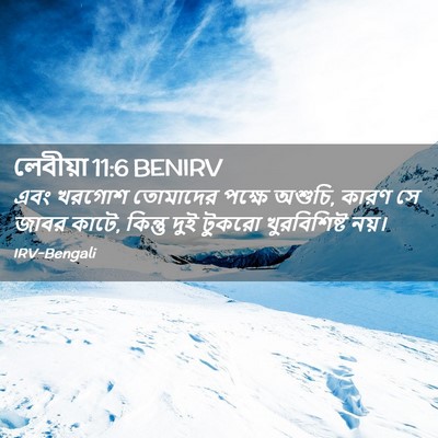 Picture 02 - লেবীয়া 11:6 BENIRV - এবং খরগোশ তোমাদের - Bible Verse Picture