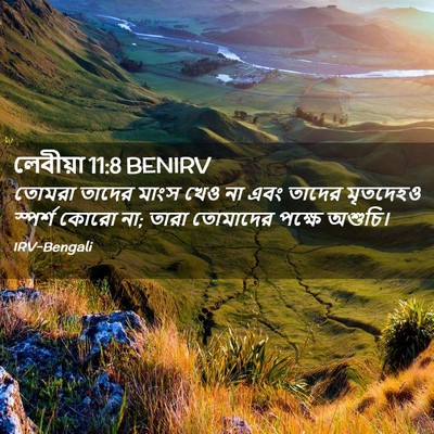 Picture 02 - লেবীয়া 11:8 BENIRV - তোমরা তাদের মাংস - Bible Verse Picture