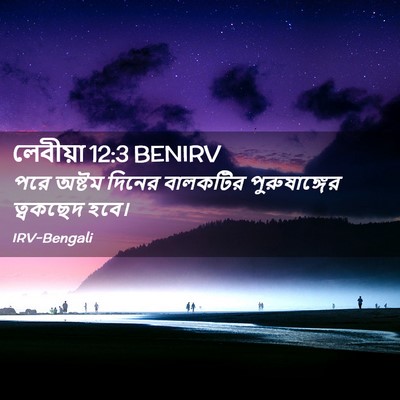 Picture 02 - লেবীয়া 12:3 BENIRV - পরে অষ্টম দিনের - Bible Verse Picture