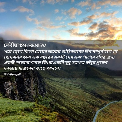 Picture 02 - লেবীয়া 12:6 BENIRV - পরে ছেলে কিংবা - Bible Verse Picture