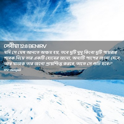 Picture 02 - লেবীয়া 12:8 BENIRV - যদি সে মেষ আনতে - Bible Verse Picture