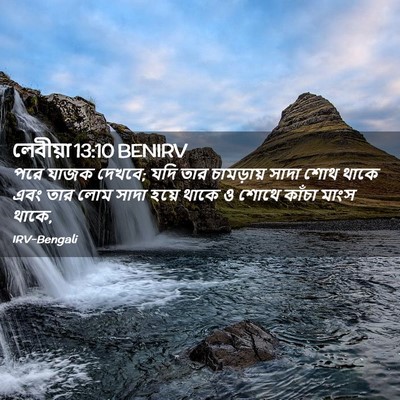 Picture 02 - লেবীয়া 13:10 BENIRV - পরে যাজক দেখবে; যদি - Bible Verse Picture