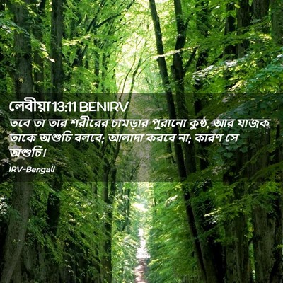 Picture 02 - লেবীয়া 13:11 BENIRV - তবে তা তার শরীরের - Bible Verse Picture