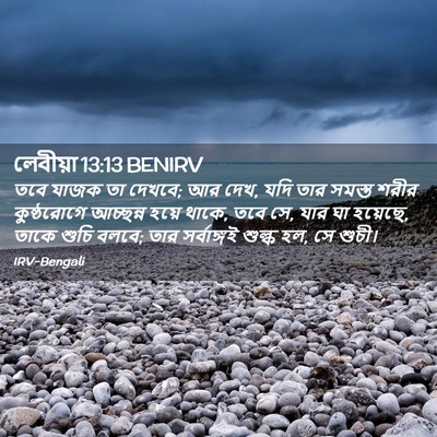 Picture 02 - লেবীয়া 13:13 BENIRV - তবে যাজক তা দেখবে; - Bible Verse Picture