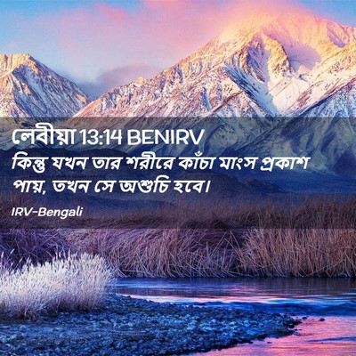 Picture 02 - লেবীয়া 13:14 BENIRV - কিন্তু যখন তার - Bible Verse Picture