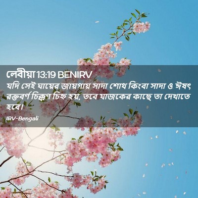 Picture 02 - লেবীয়া 13:19 BENIRV - যদি সেই ঘায়ের - Bible Verse Picture