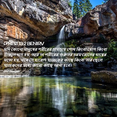 Picture 02 - লেবীয়া 13:2 BENIRV - যদি কোনো মানুষের - Bible Verse Picture