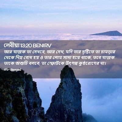 Picture 02 - লেবীয়া 13:20 BENIRV - আর যাজক তা দেখবে, - Bible Verse Picture