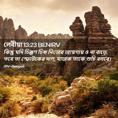 Picture 02 - লেবীয়া 13:23 BENIRV - কিন্তু যদি চিক্কণ - Bible Verse Picture