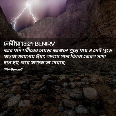 Picture 02 - লেবীয়া 13:24 BENIRV - আর যদি শরীরের - Bible Verse Picture