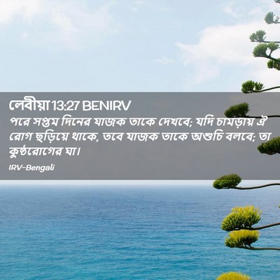 Picture 02 - লেবীয়া 13:27 BENIRV - পরে সপ্তম দিনের - Bible Verse Picture