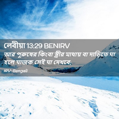 Picture 02 - লেবীয়া 13:29 BENIRV - আর পুরুষের কিংবা - Bible Verse Picture