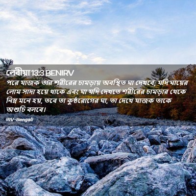 Picture 02 - লেবীয়া 13:3 BENIRV - পরে যাজক তার - Bible Verse Picture