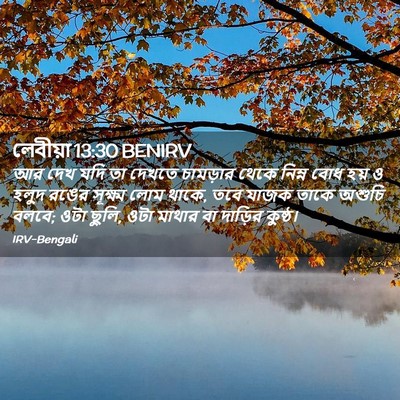 Picture 02 - লেবীয়া 13:30 BENIRV - আর দেখ যদি তা দেখতে - Bible Verse Picture