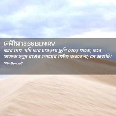 Picture 02 - লেবীয়া 13:36 BENIRV - আর দেখ, যদি তার - Bible Verse Picture