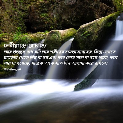 Picture 02 - লেবীয়া 13:4 BENIRV - আর উজ্জ্বল দাগ যদি - Bible Verse Picture