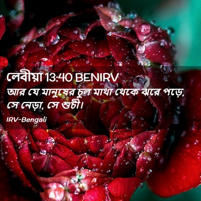 Picture 02 - লেবীয়া 13:40 BENIRV - আর যে মানুষের চুল - Bible Verse Picture
