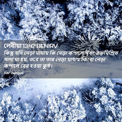 Picture 02 - লেবীয়া 13:42 BENIRV - কিন্তু যদি নেড়া - Bible Verse Picture