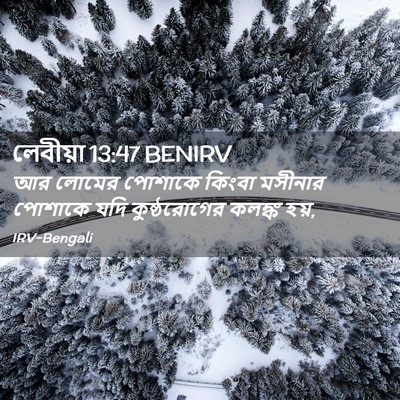 Picture 02 - লেবীয়া 13:47 BENIRV - আর লোমের পোশাকে - Bible Verse Picture