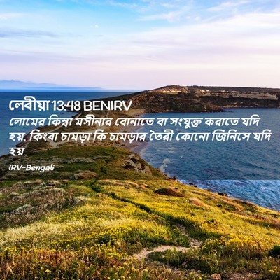 Picture 02 - লেবীয়া 13:48 BENIRV - লোমের কিম্বা - Bible Verse Picture