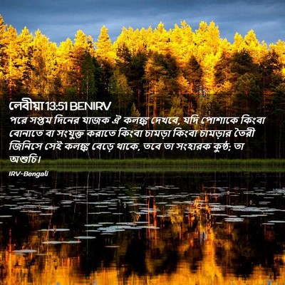 Picture 02 - লেবীয়া 13:51 BENIRV - পরে সপ্তম দিনের - Bible Verse Picture