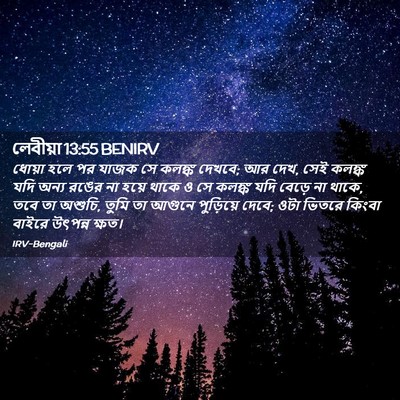 Picture 02 - লেবীয়া 13:55 BENIRV - ধোয়া হলে পর যাজক - Bible Verse Picture