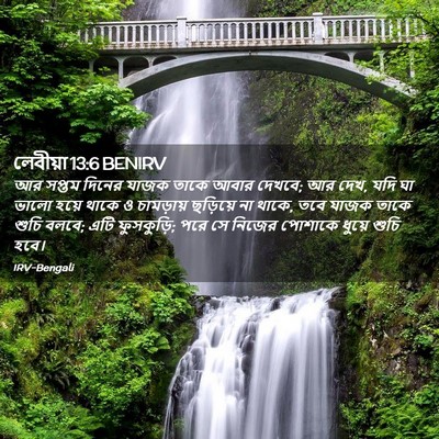 Picture 02 - লেবীয়া 13:6 BENIRV - আর সপ্তম দিনের - Bible Verse Picture