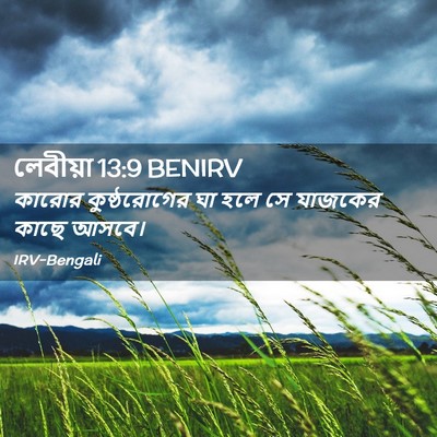 Picture 02 - লেবীয়া 13:9 BENIRV - কারোর কুষ্ঠরোগের - Bible Verse Picture