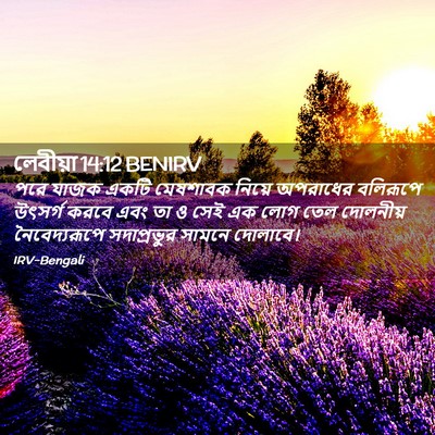 Picture 02 - লেবীয়া 14:12 BENIRV - পরে যাজক একটি - Bible Verse Picture