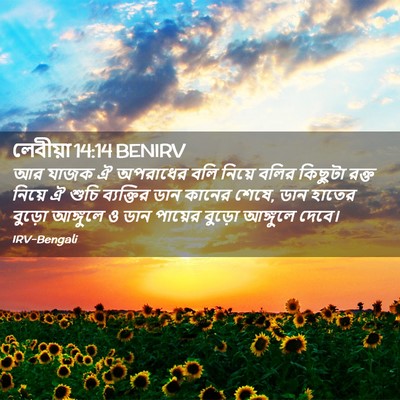 Picture 02 - লেবীয়া 14:14 BENIRV - আর যাজক ঐ অপরাধের - Bible Verse Picture