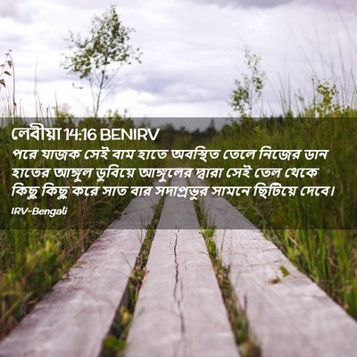 Picture 02 - লেবীয়া 14:16 BENIRV - পরে যাজক সেই বাম - Bible Verse Picture
