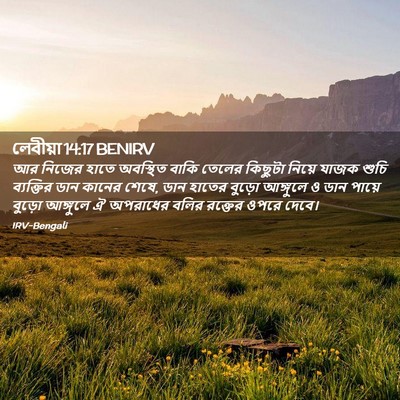 Picture 02 - লেবীয়া 14:17 BENIRV - আর নিজের হাতে - Bible Verse Picture