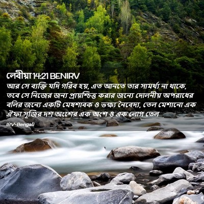 Picture 02 - লেবীয়া 14:21 BENIRV - আর সে ব্যক্তি যদি - Bible Verse Picture