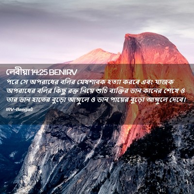 Picture 02 - লেবীয়া 14:25 BENIRV - পরে সে অপরাধের - Bible Verse Picture