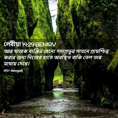 Picture 02 - লেবীয়া 14:29 BENIRV - আর যাজক ব্যক্তির - Bible Verse Picture