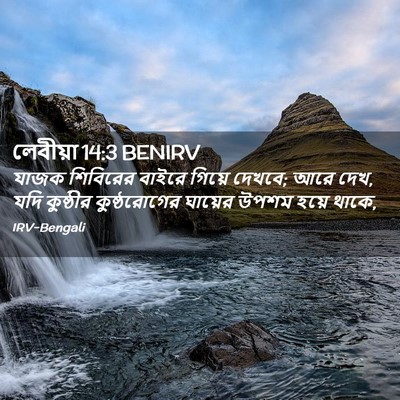 Picture 02 - লেবীয়া 14:3 BENIRV - যাজক শিবিরের - Bible Verse Picture